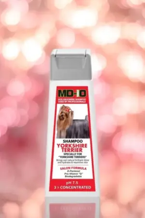 Shampoing Yorkshire Terrier MD10-France